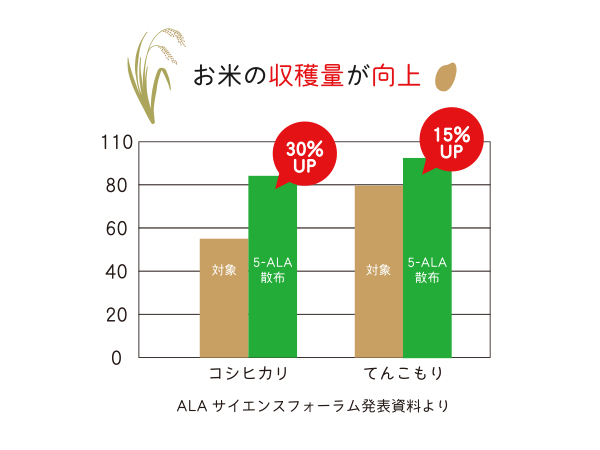 ALAサイエンスフォーラム発表資料より、お米の収穫量が向上したことを示すグラフ